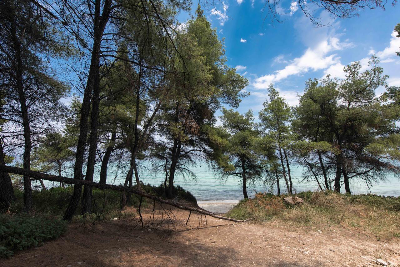 #Luxlikehome - Kriopigi Pines By The Sea Экстерьер фото